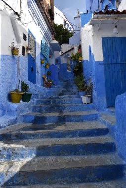 Şef, Fas 'tan. Evler, sokaklar ve mavi ile boyanmış eski Medine merdivenleri. Unesco mirası