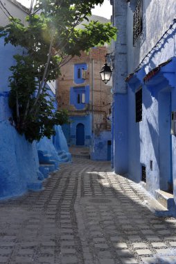 Şef, Fas 'tan. Evler, sokaklar ve mavi ile boyanmış eski Medine merdivenleri. Unesco mirası