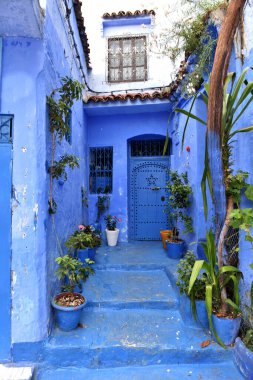 Şef, Fas 'tan. Evler, sokaklar ve mavi ile boyanmış eski Medine merdivenleri. Unesco mirası