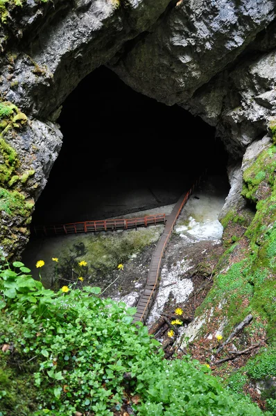 Ice cave entrance, pothole — Stock Photo, Image