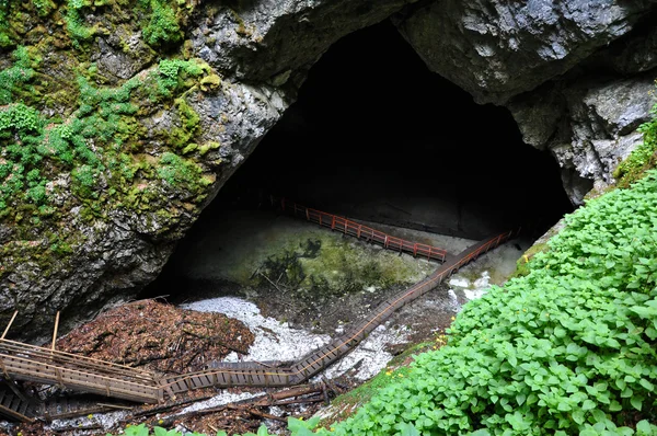 Ingången till isgrotta — Stockfoto