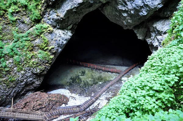 Ingången till en djup isgrotta — Stockfoto