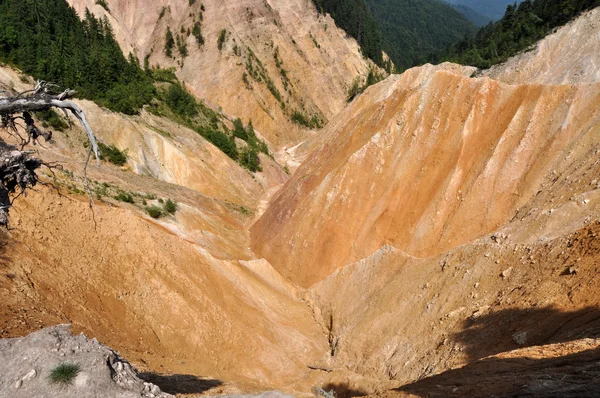 Ravine, erosion landscape — Stock Photo, Image