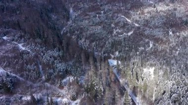 Kışın karla kaplı dağ ormanlarının havadan görünüşü 