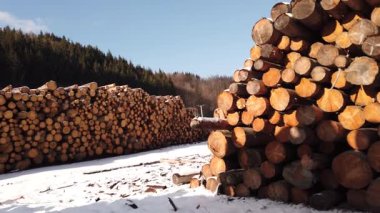 Yığın ağaç gövdeleri, endüstriyel ormansızlaşma.