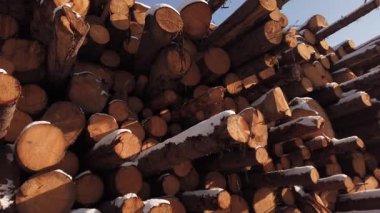 Yığın ağaç gövdeleri, endüstriyel ormansızlaşma.