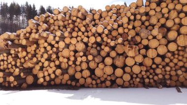 Yığın ağaç gövdeleri, endüstriyel ormansızlaşma.