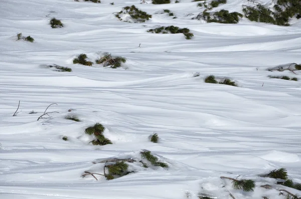 Fondo de nieve abstracto en invierno — Foto de Stock