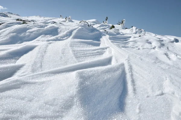 Świeży śnieg spadnie, snow ziemią — Zdjęcie stockowe