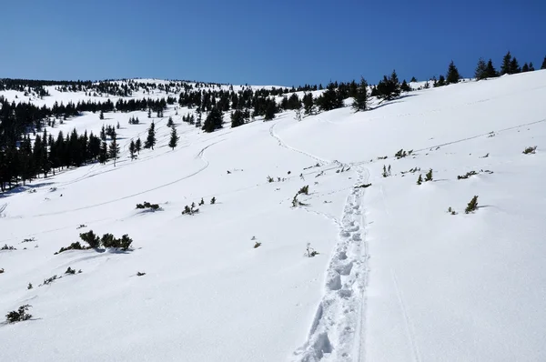 Montaña de invierno con pistas fuera de pista —  Fotos de Stock