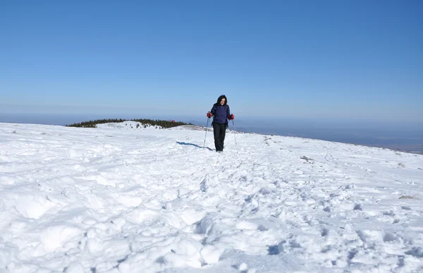 Escursioni invernali donna nella neve — Foto Stock