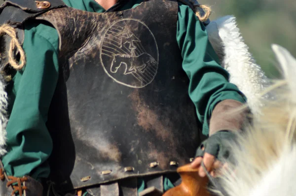 Equestrian demonstration in traditional costumes — Stock Photo, Image