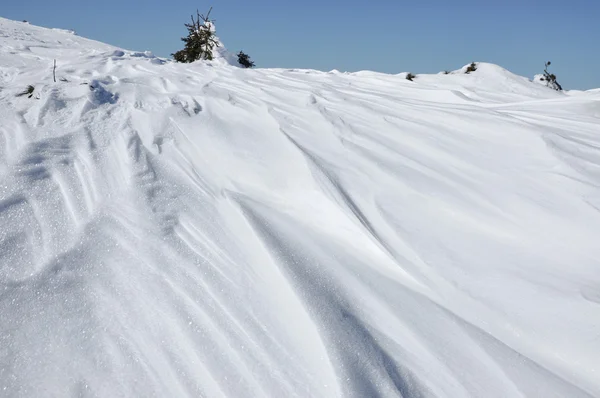 Deriva de nieve — Foto de Stock