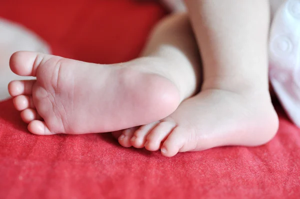 Petits pieds d'un nouveau-né — Photo