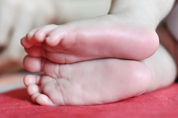 Petits orteils d'un nouveau-né — Photo