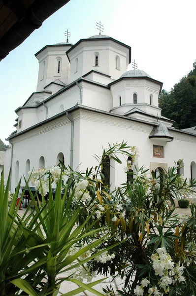 Tismana ortodoxa kloster, Rumänien — Stockfoto