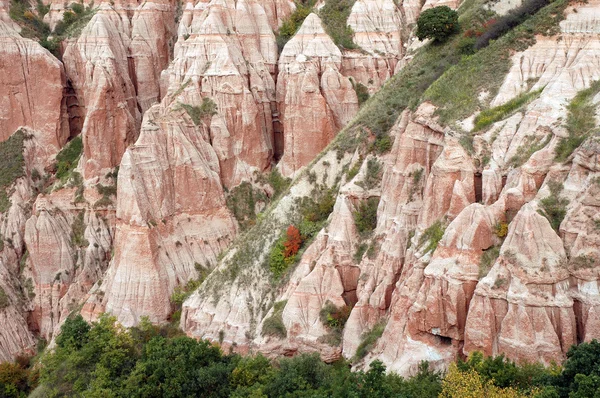 Réserve géologique. Le ravin de Rapa Rosie, Roumanie — Photo