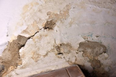 Şiddetli su hasarı ve banyo tavanında ve duvarda küf büyümesi.