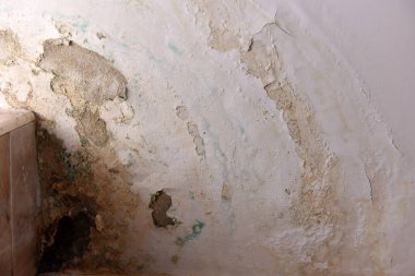 Şiddetli su hasarı ve banyo tavanında ve duvarda küf büyümesi.