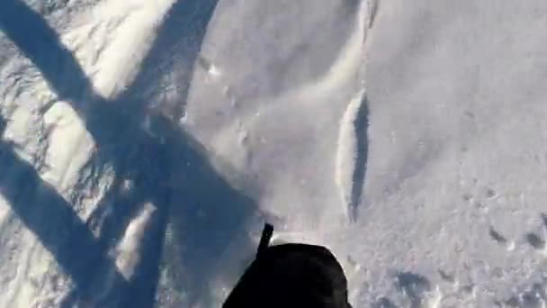 Piernas y sombra de un hombre de trekking en invierno en la nieve — Vídeo de stock