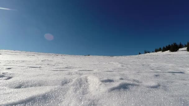 Un tipo da un salto mortal en la nieve. Tumbling hombre divertirse en la nieve en invierno — Vídeos de Stock