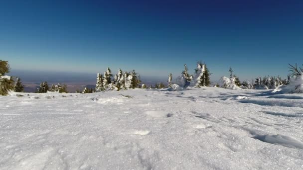 Trekking casal na neve nas montanhas — Vídeo de Stock