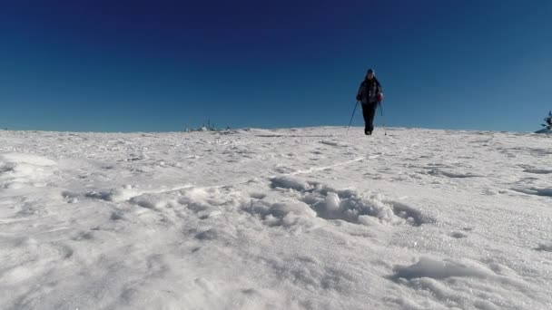 Winterlandschaft mit einer Trekkingfrau im Schnee — Stockvideo