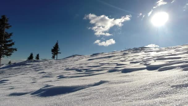 Paysage d'hiver avec une femme de randonnée dans la neige — Video