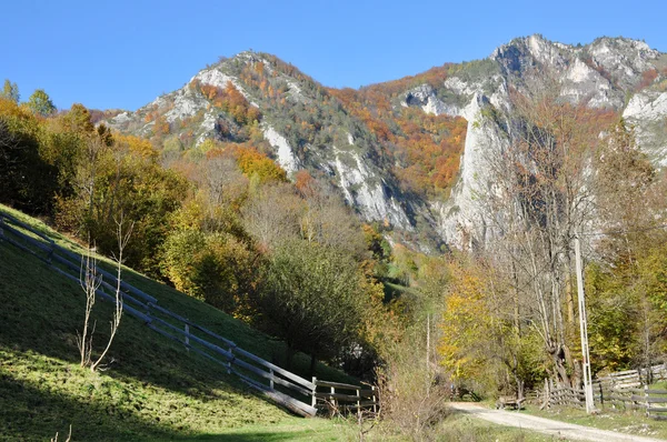 Horská podzimní krajina s barevným lesem — Stock fotografie