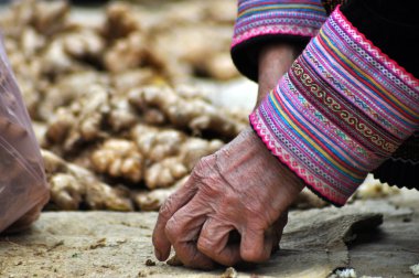 Vietnam Bac Ha pazarda satmak için zencefil