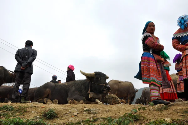 Peuple vietnamien en costume traditionnel au marché de Bac Ha , — Photo