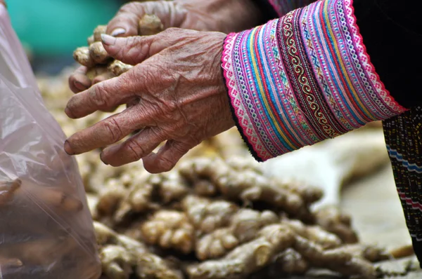 Ginger za prodej Bac Ha trhu, Vietnam — Stock fotografie