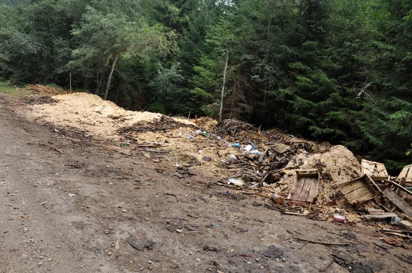 Śmieci w lesie — Zdjęcie stockowe