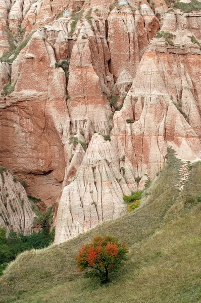 Geologischen Reservats. die schlucht von rapa rosie, rumänien — Stockfoto
