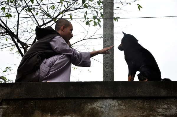 Mnich buddyjski, grając z bezpański pies — Zdjęcie stockowe