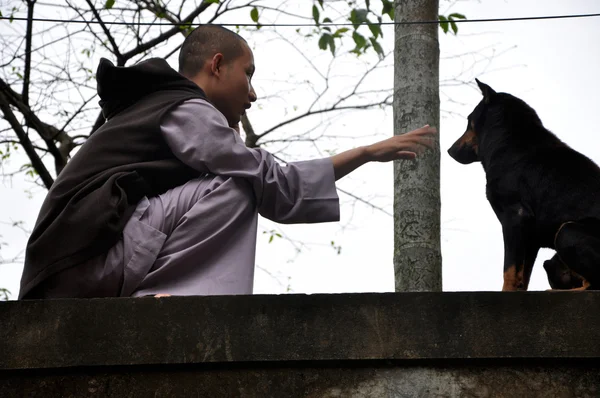 野良犬と遊ぶ僧侶 — ストック写真