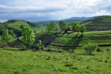 Dağlarda ilkbahar manzarası