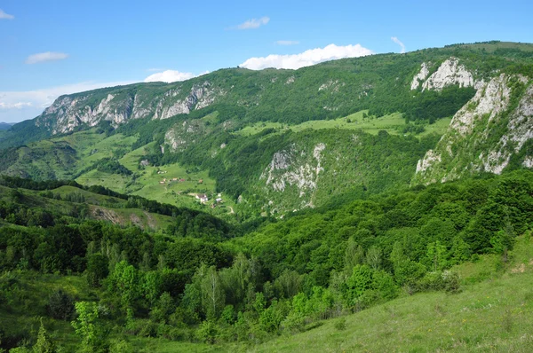 Jarní krajina v horách — Stock fotografie