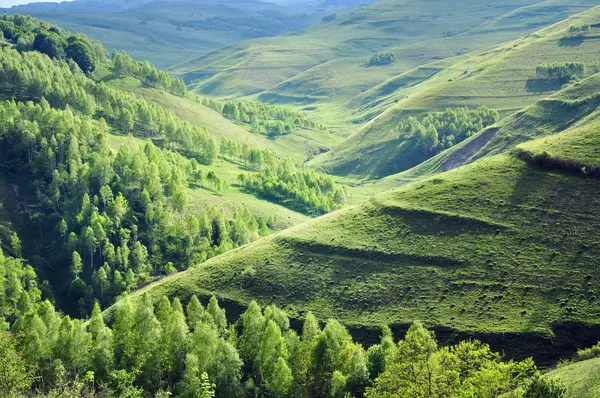 Bahar, canlı yeşil tepeler — Stok fotoğraf