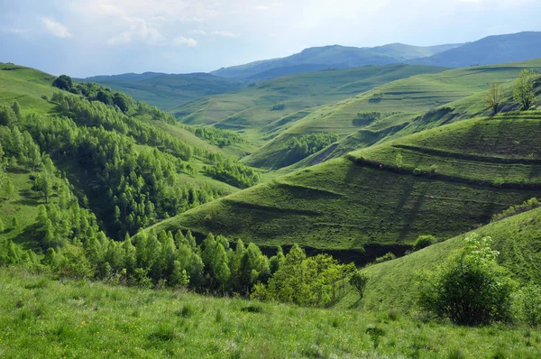 Paisagem de primavera nas montanhas — Fotografia de Stock