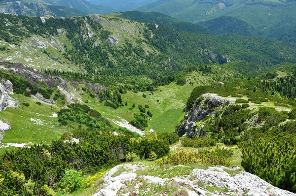 Levendige groene bergen op voorjaar — Stockfoto