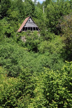 Ormanda terk edilmiş bir ev.