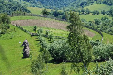Bahar ekilebilir tarım alanı