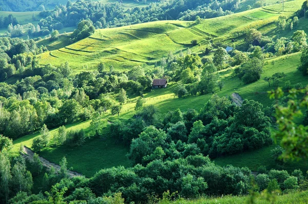 Bahar çayır ve yeşil tepeler — Stok fotoğraf