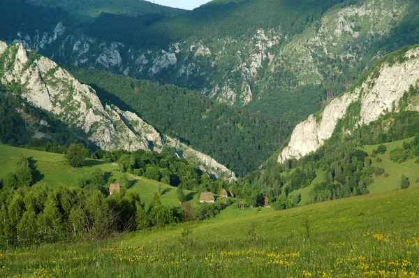 Paisaje primaveral con pradera vibrante — Foto de Stock