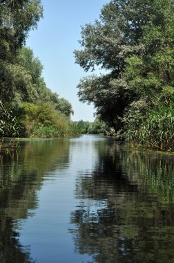Su kanalı, river Danube Delta, Romanya