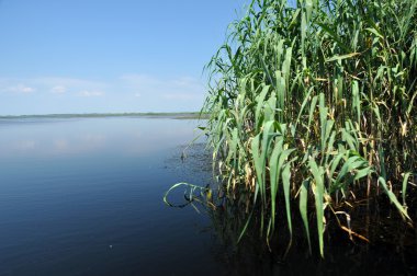 Danube Delta, Romanya güzel göl