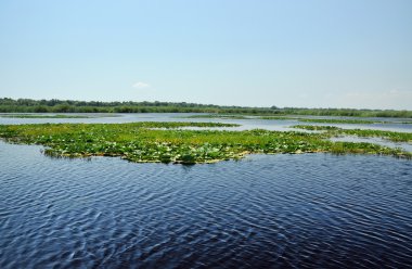 Danube Delta, Romanya güzel göl