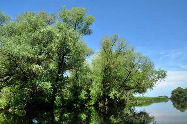 Kanał wodny, rzeki w regionie Delta Dunaju, Rumunia — Zdjęcie stockowe