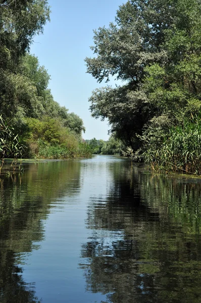 Canale dell'acqua, fiume nel delta del Danubio, Romania — Foto Stock